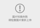 beat365唯一官方网站2025年外省录取情况