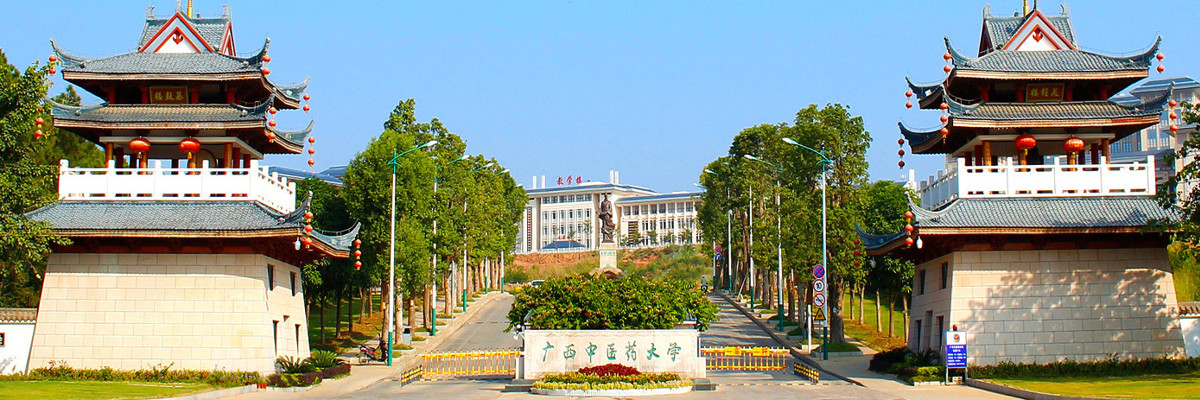 首页大图-01