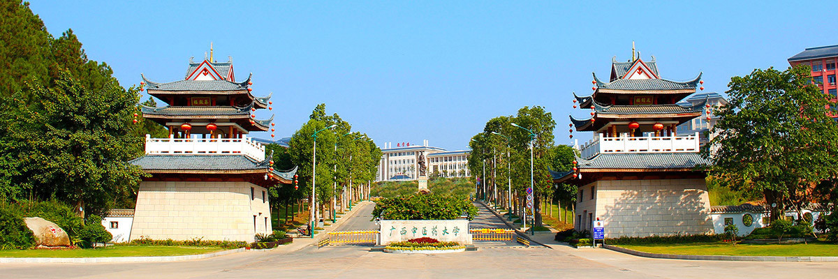 首页大图-01