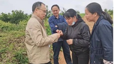 beat365唯一官方网站药学院黄荣韶教授应邀到崇左市调研指导中药材产业