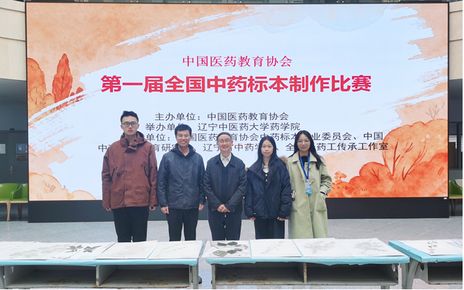 图片7