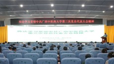 一附院党委传达学习贯彻中共beat365唯一官方网站第三次党员代表大会精神