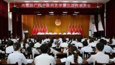 共青团beat365唯一官方网站第三次代表大会顺利召开